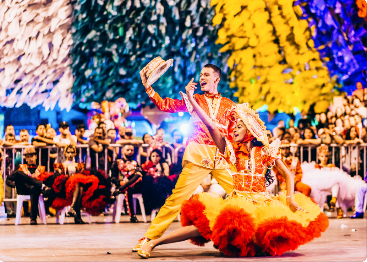 Що являє собою фестиваль